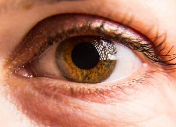 U članku vam otkrivamo: Kako izgledaju oči na drogama?