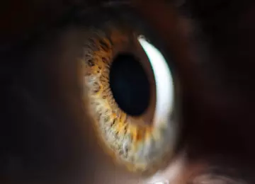 Što znači kad vidite bljeskove i crne točkice pred očima?